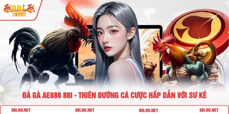 Đá Gà AE888 88i - Thiên Đường Cá Cược Hấp Dẫn Với Sư Kê