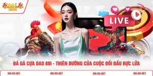 Đá Gà Cựa Dao 88i - Thiên Đường Của Cuộc Đối Đấu Rực Lửa
